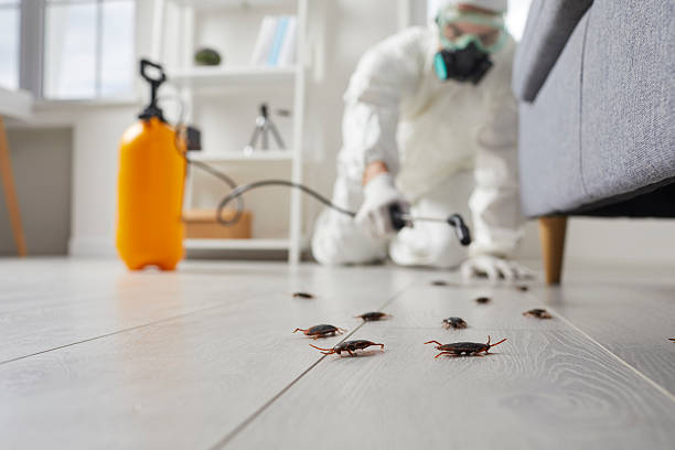 Post-Treatment Bed Bug Interceptor Monitoring in South Fulton