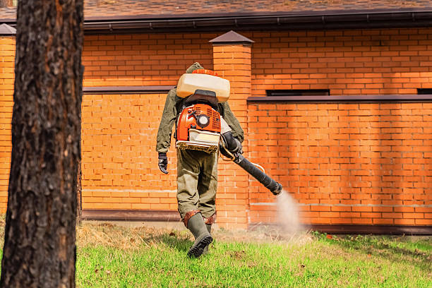 Bed Bug Clearance Verification and Documentation in South Fulton